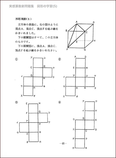 解答つき　図形の学習　ピグマリオン