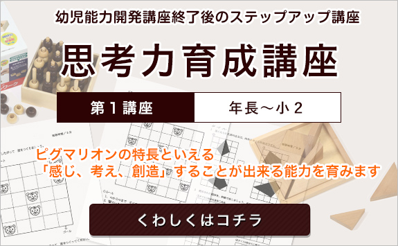 ピグマリオン 思考力育成講座 第1講座 - おもちゃ
